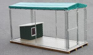chain link outdoor dog kennel
