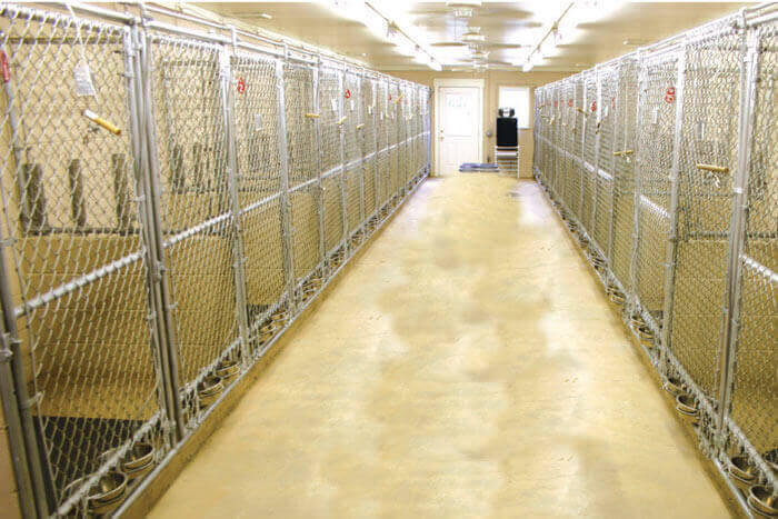 chain link dog kennels
