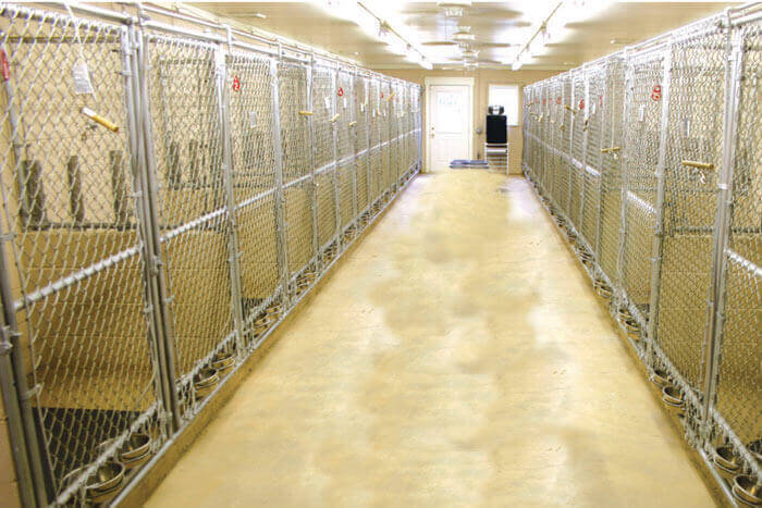 Commercial dog shop kennels and runs