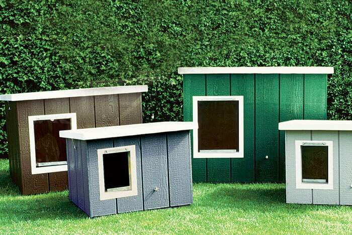 dog boxes