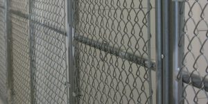galvanized chain link gates