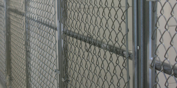 rust free galvanized fence gates