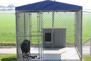chain link wire dog kennel in pa