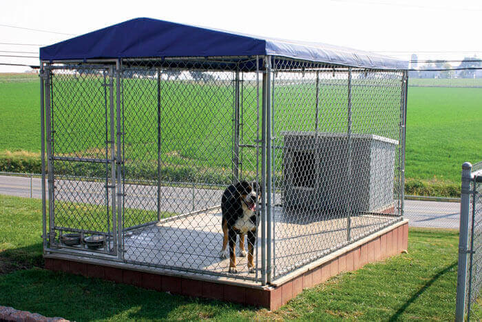 custom dog kennels