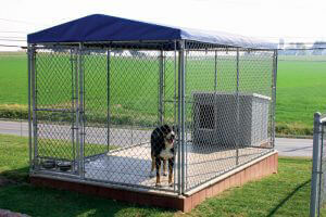 galvanized chain link dog kennel