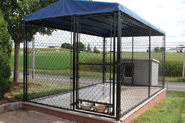 chain link fence dog bowl